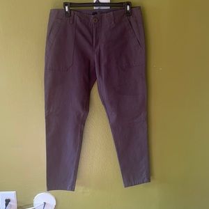 Ashy Gray Ankle Pants